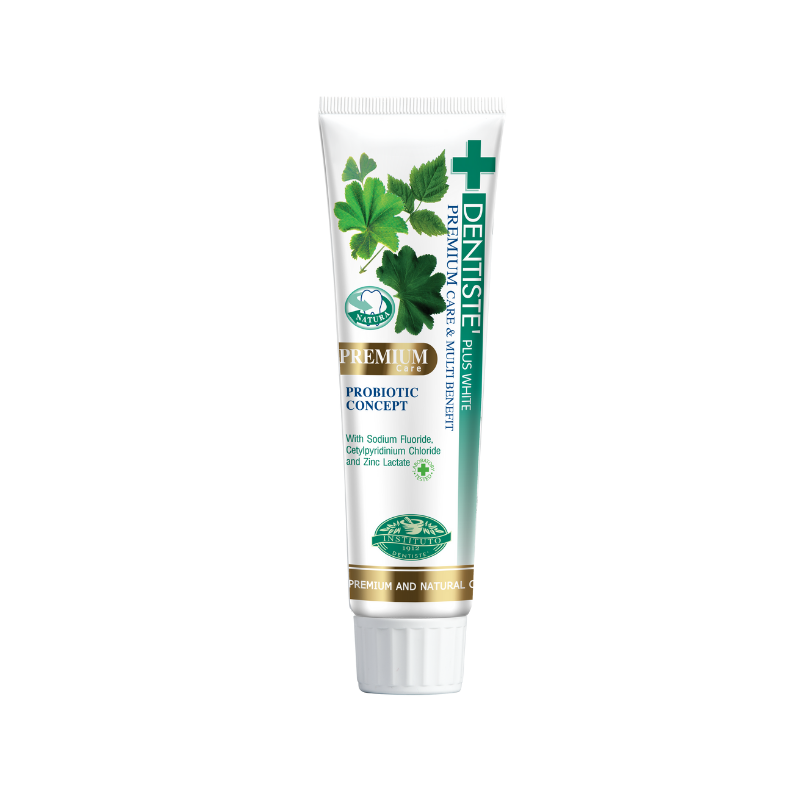 DENTISTE' - Premium Care Toothpaste 100g Tube