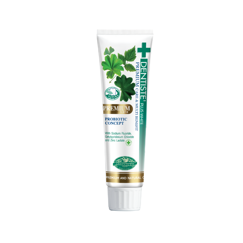 DENTISTE' Premium Care Toothpaste 100g Tube