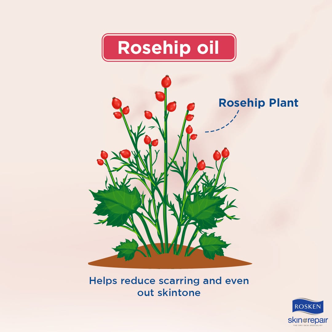 ROSKEN - Bio Serum 50ml