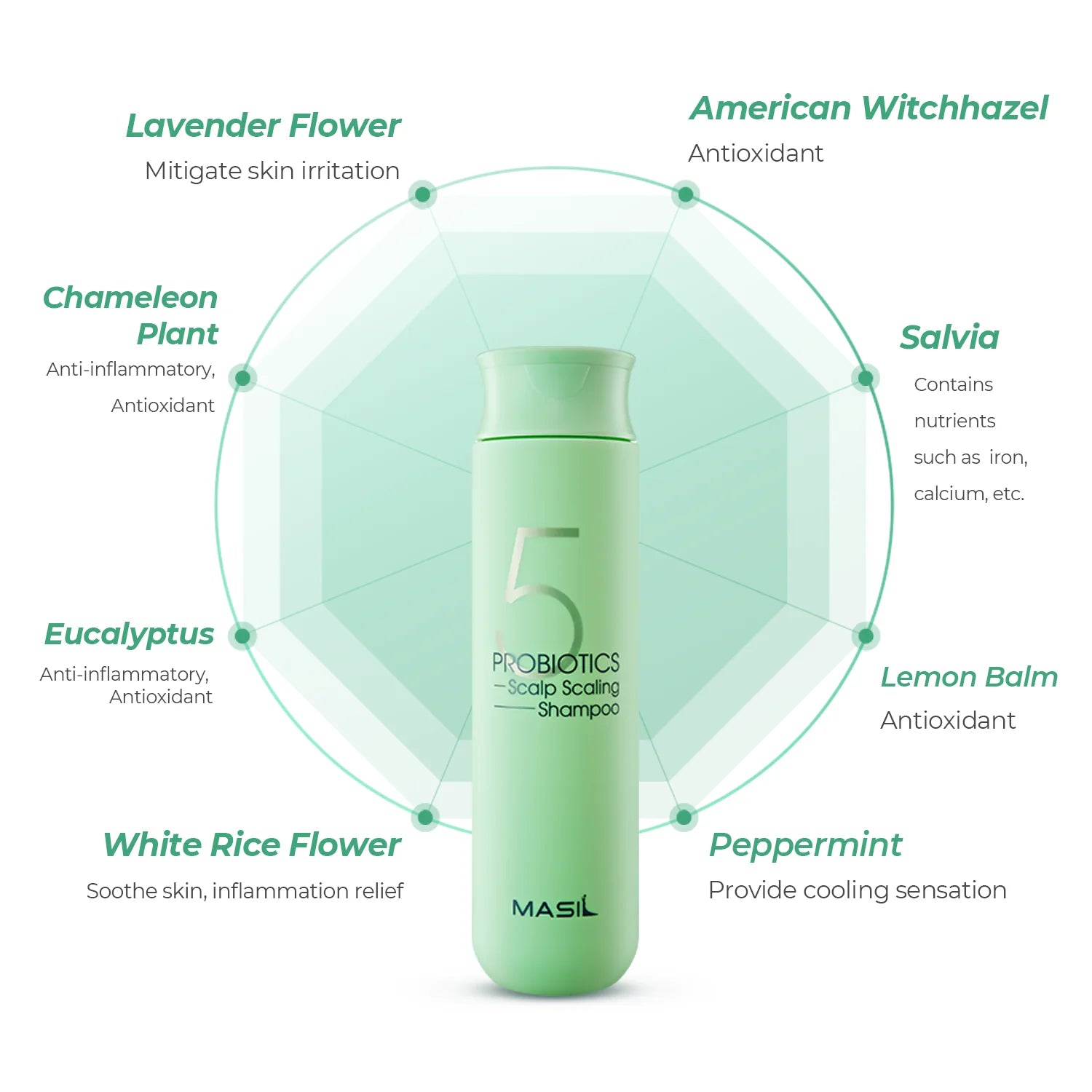 MASIL - 5 Probiotics Scalp Scaling Shampoo 300ml